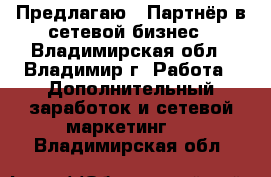 Предлагаю : Партнёр в сетевой бизнес - Владимирская обл., Владимир г. Работа » Дополнительный заработок и сетевой маркетинг   . Владимирская обл.